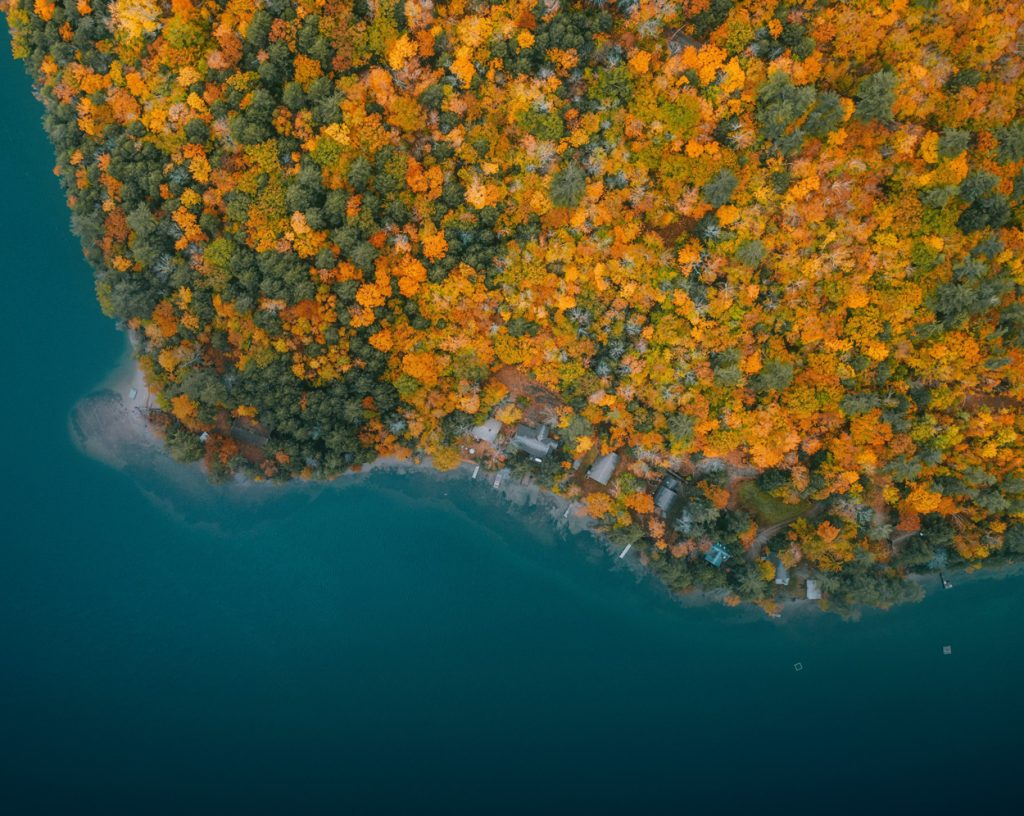 Drönarbild uppifrån som visar en udde vid ett hav. Skogens träd har bytt till höstens färger. Husen som ligger vid stranden har tagit upp sina båtar inför vintern – båtbryggorna är tomma.